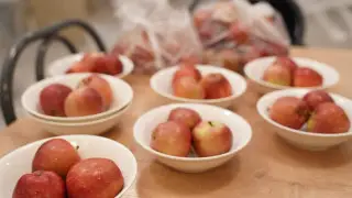 Минздрав проверяет школьные столовые в Мангистауской области