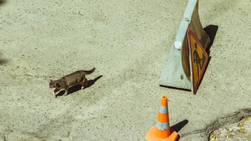 Фото:depositphotos.com