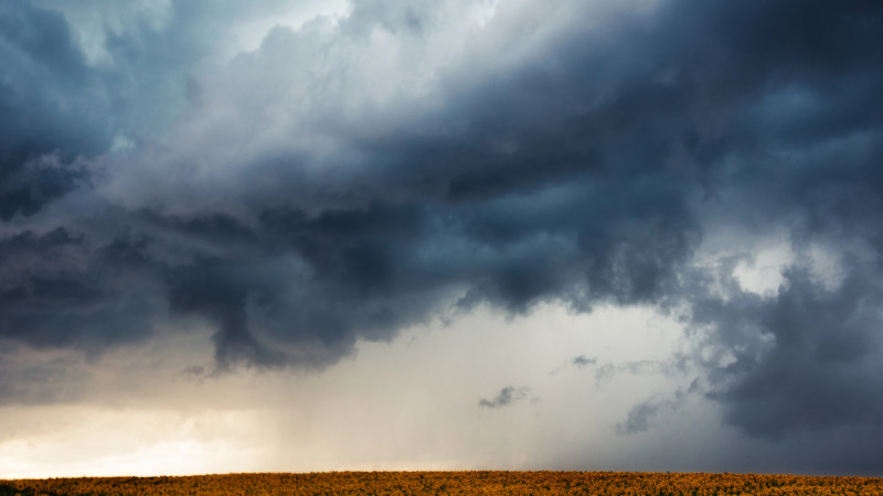 Фото:depositphotos.com