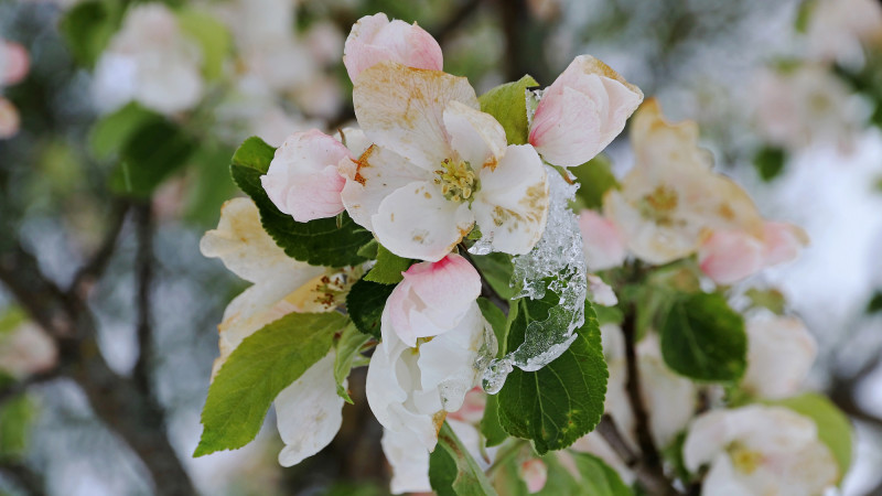 Фото:depositphotos.com