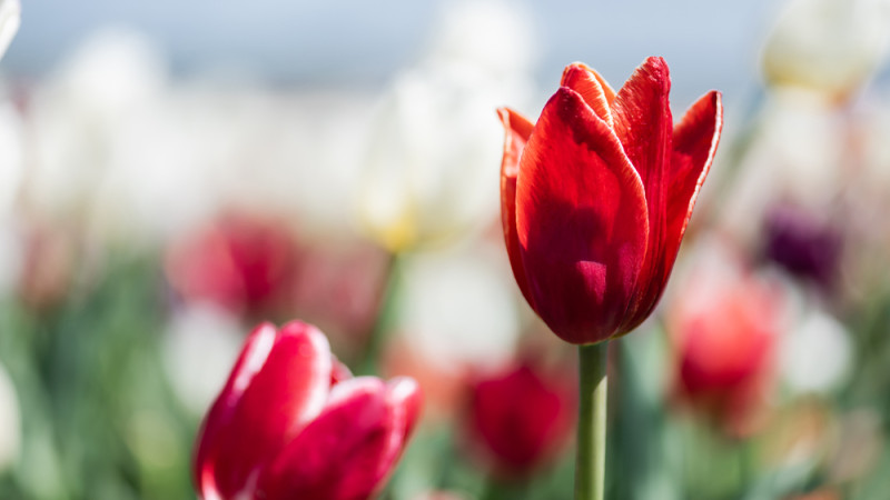 Фото:depositphotos.com