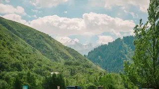 “Сказки рассказываете“. Депутата не устроил ответ чиновника по застройкам в нацпарках