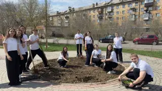 Карагандинская область присоединилась к челленджу по озеленению страны