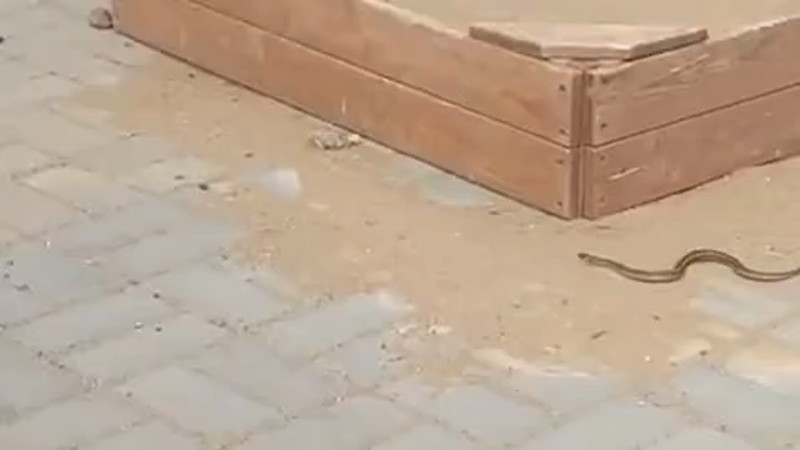 Кадры из видео