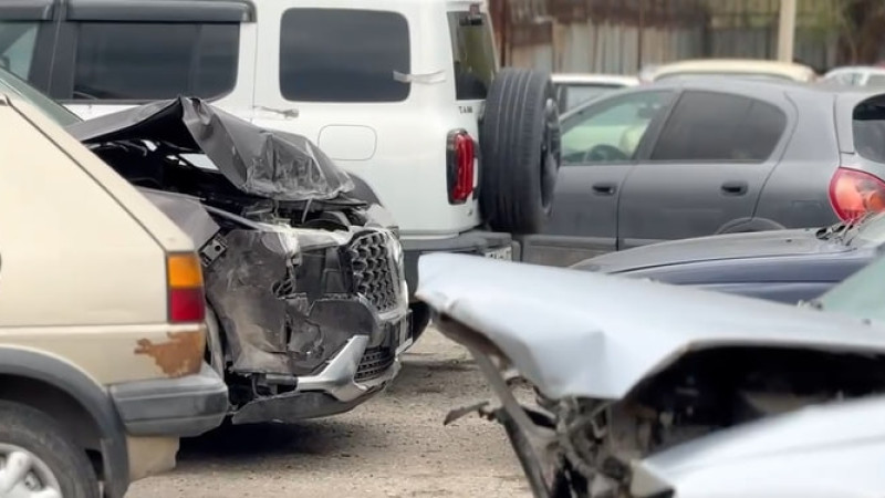 Фото: ДП области Жетысу