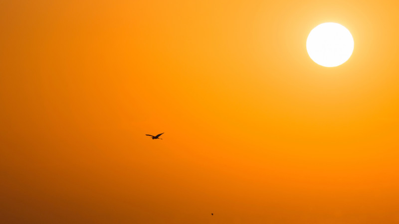 Фото:depositphotos.com