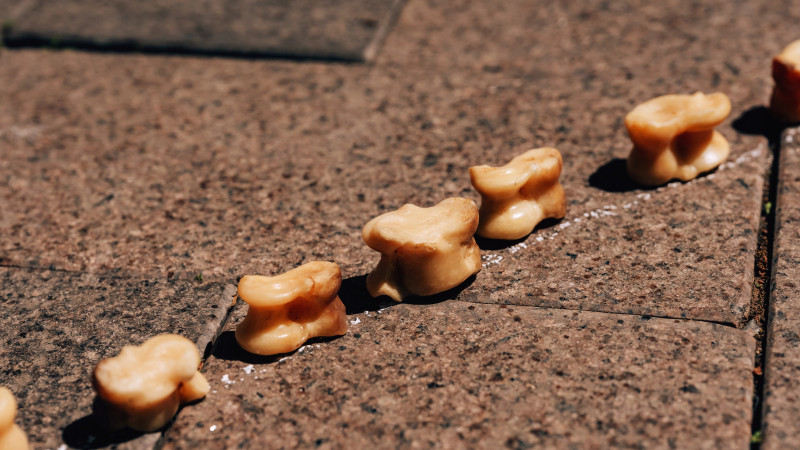 Иллюстративное фото:depositphotos.com