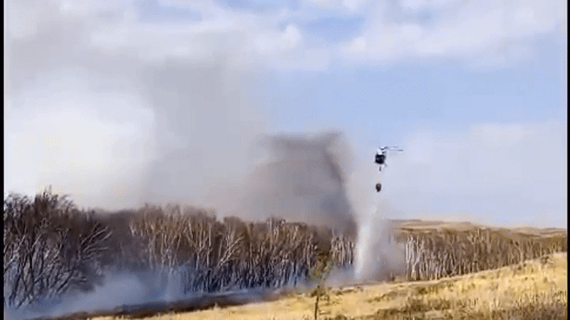 Кадры из видео