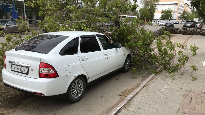 Фото ©️ Tengrinews.kz