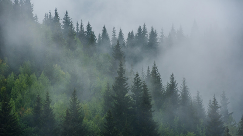 Фото:depositphotos.com