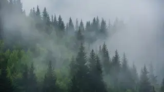 Туман и шквальный ветер: погода в Казахстане в последний день апреля