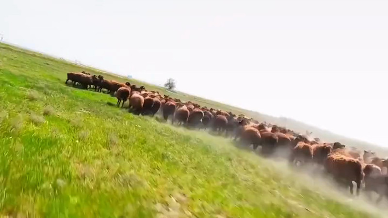 Кадры из видео