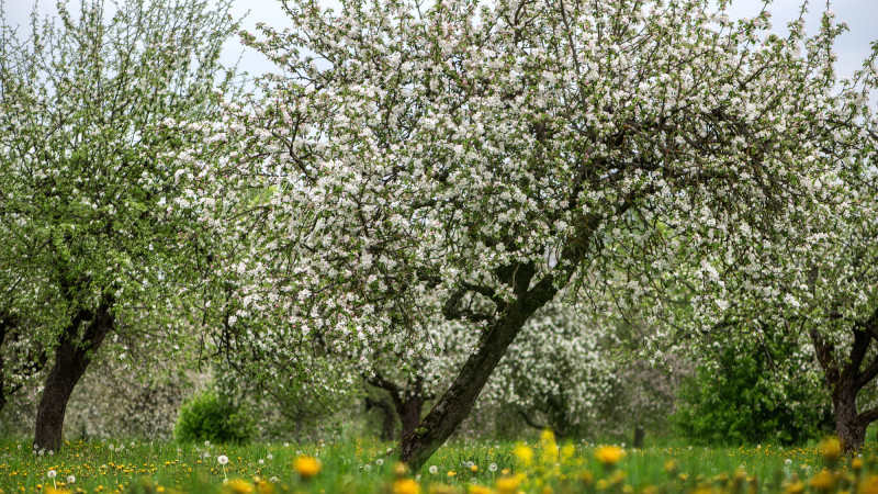 Фото:depositphotos.com