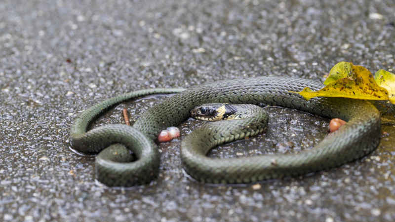 Иллюстративное фото:depositphotos.com