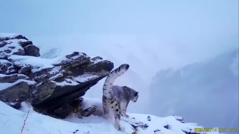 Кадры из видео