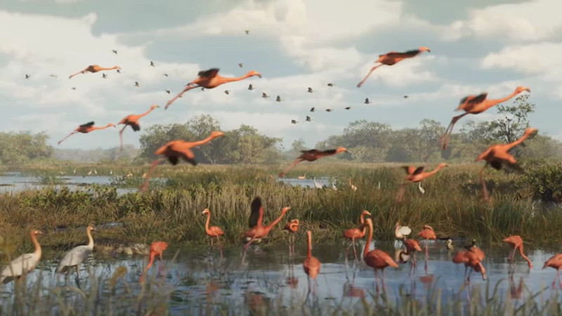 Кадры из трейлера GTA VI