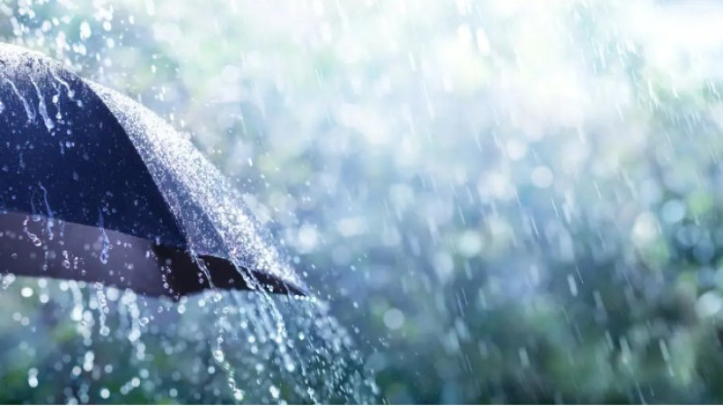 Фото:depositphotos.com