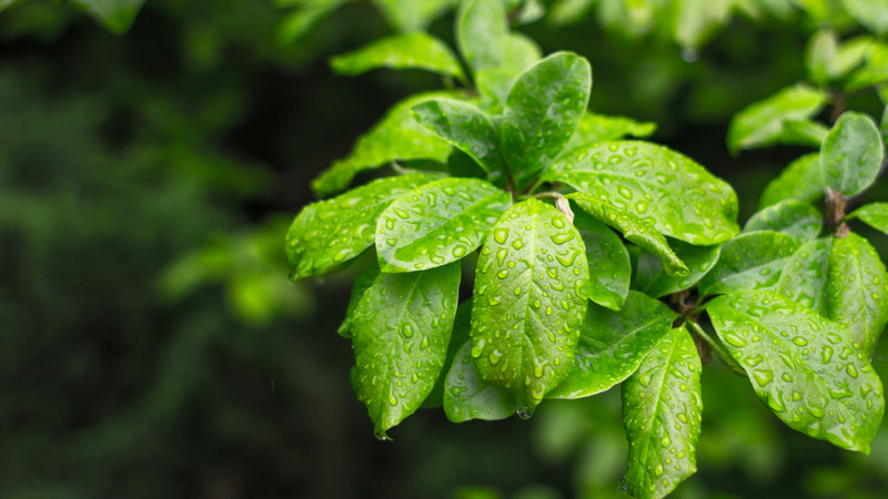 Фото:depositphotos.com