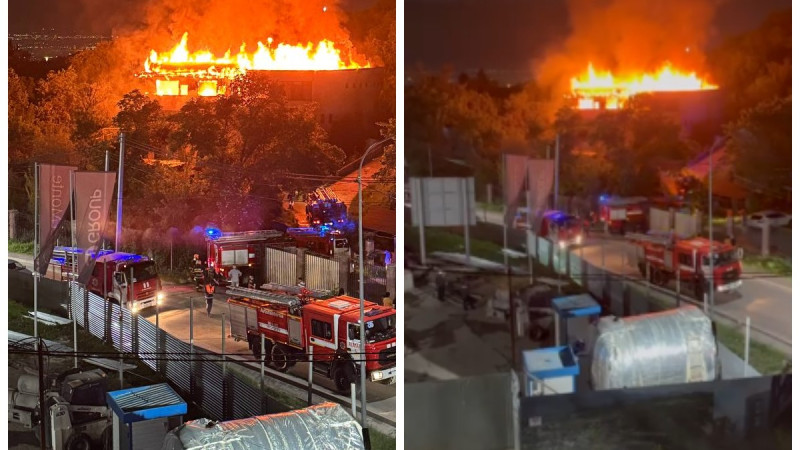 Коллаж ©️ Tengrinews.kz