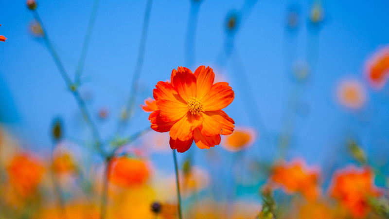 Фото:depositphotos.com