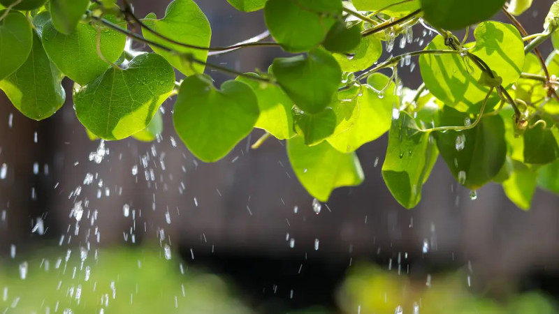 Фото:depositphotos.com