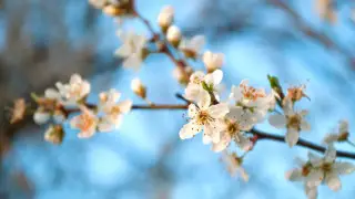 Жара до +37 и пыльная буря: погода в городах Казахстана на 8 мая