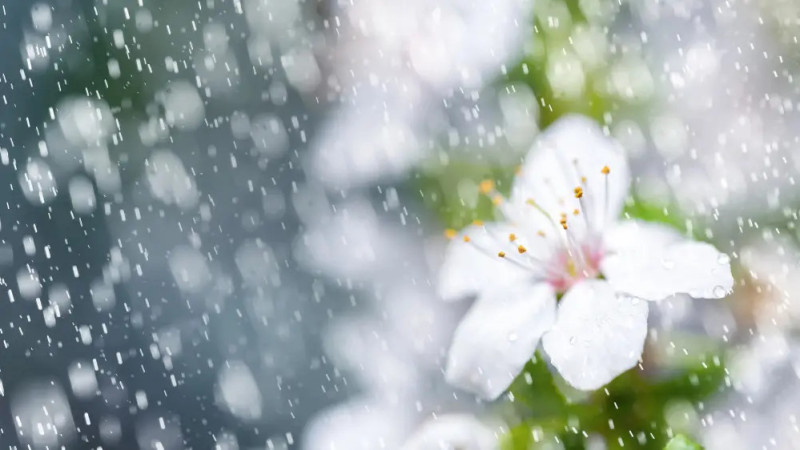 Фото:depositphotos.com