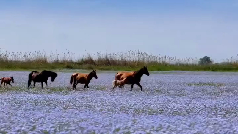 Кадры из видео