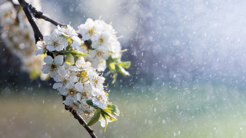 Фото:depositphotos.com