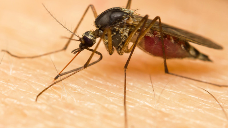 Фото:depositphotos.com