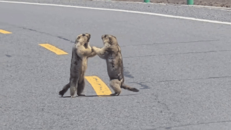 Кадры из видео