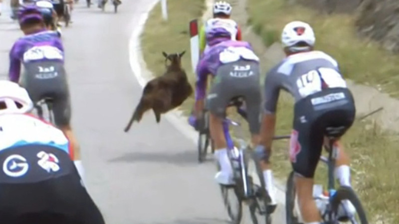 Фото: https://x.com/NBCSCycling