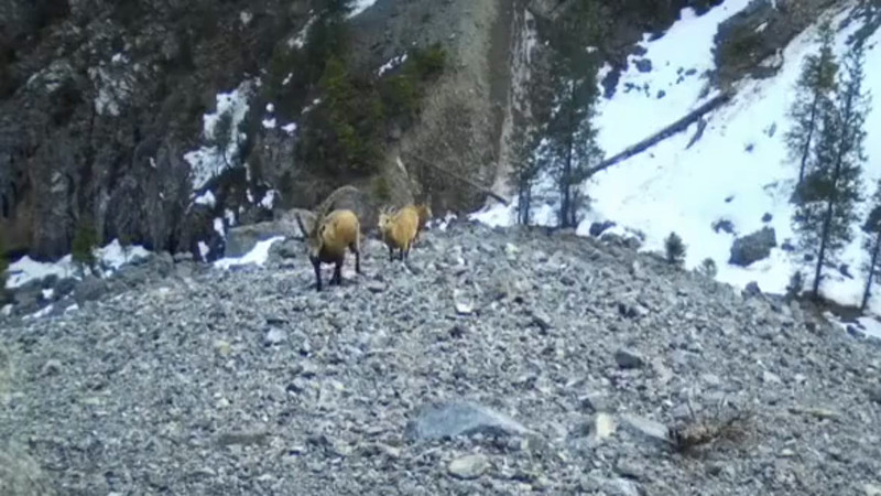 Кадры из видео