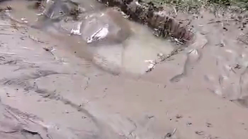 Кадры из видео