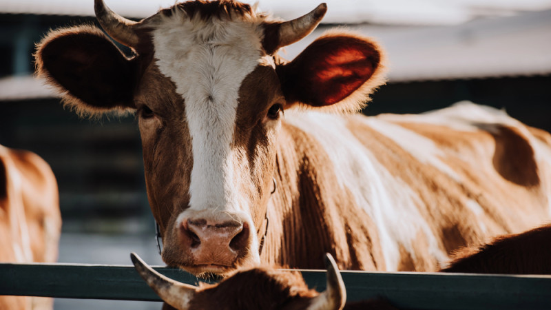 Фото:depositphotos.com