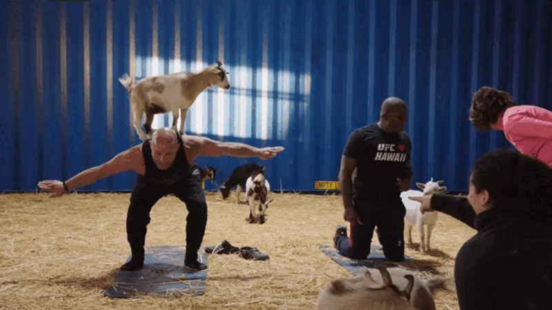 Кадры из видео