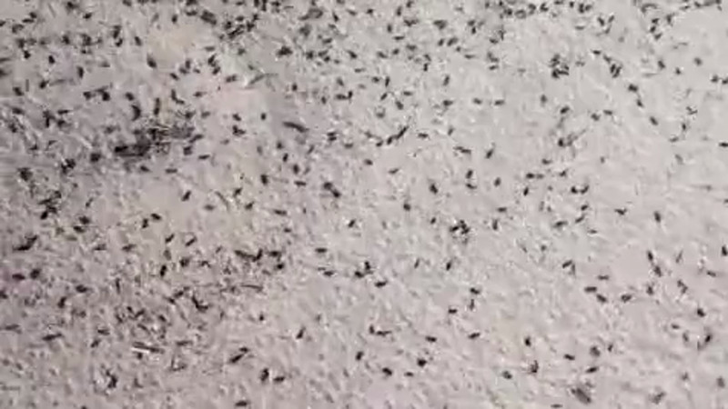 Кадры из видео