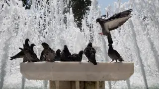 Жара до +37 и грозы с градом - погода в Астане и Алматы на 3 дня