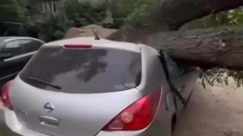 Кадры из видео