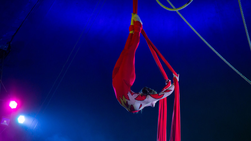 Иллюстративное фото:depositphotos.com