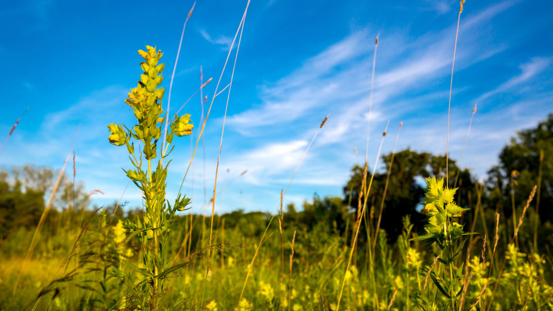 Фото:depositphotos.com