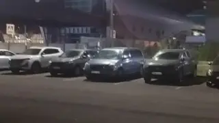 Автомобили покрасили вместе с LRT в Астане