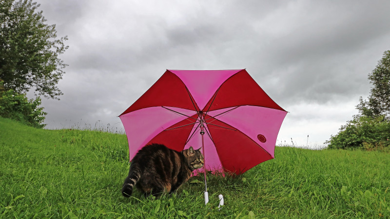 Фото:depositphotos.com