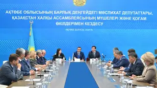 Маулен Ашимбаев высказался о совместной работе Сената с маслихатами