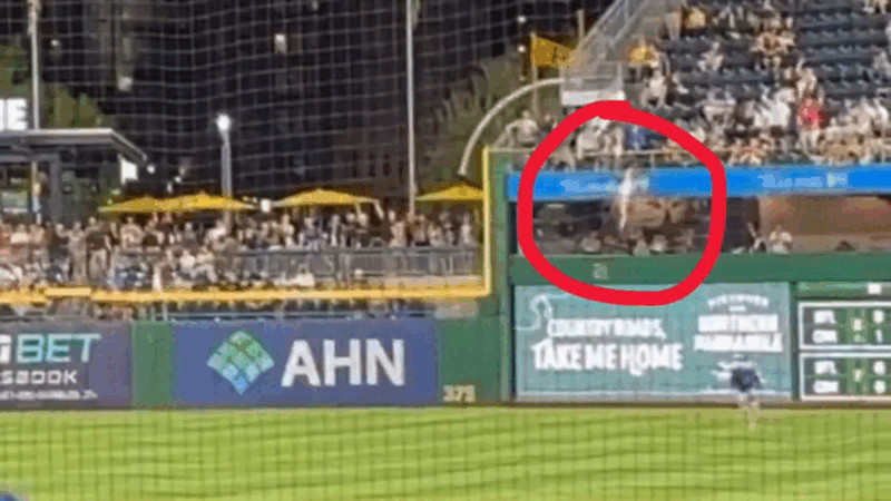 Кадры из видео