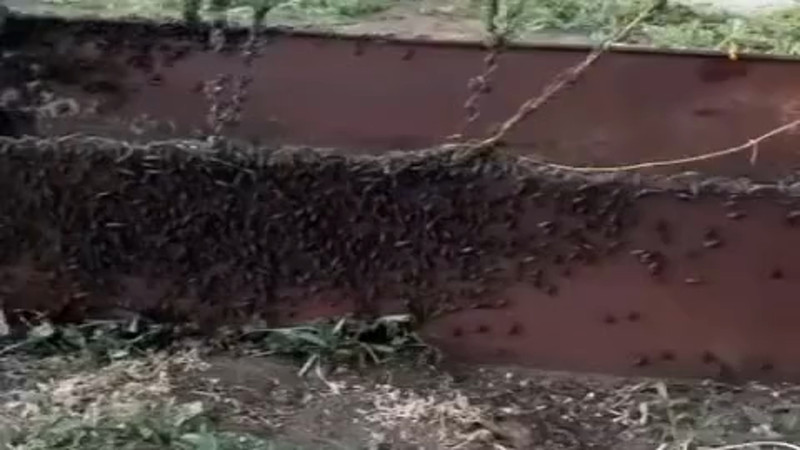 Кадры из видео