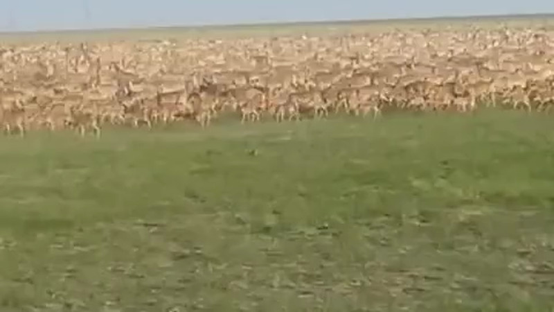 Кадры из видео