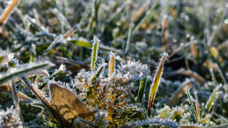 Фото:depositphotos.com