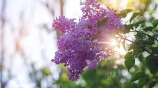 Жара на юге, дожди в центре и на востоке: о погоде в Казахстане на 25 мая