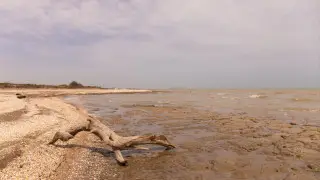 Названа причина обмеления Каспийского моря